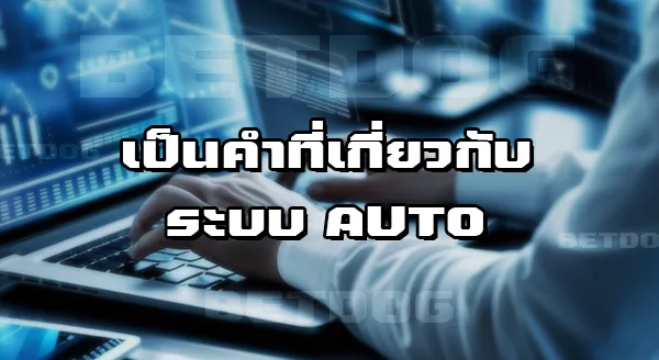 Auto DG Bet