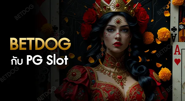 BETDOG bet