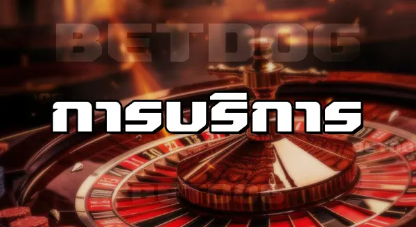 Betdogs