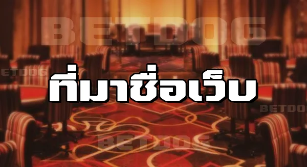 Betdogs