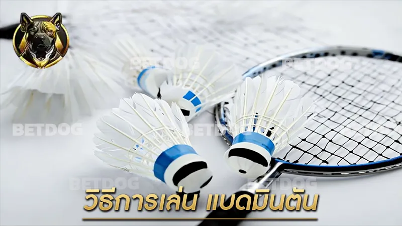 วิธีการเล่น แบดมินตัน