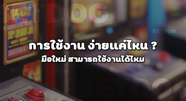 4×4 bet123