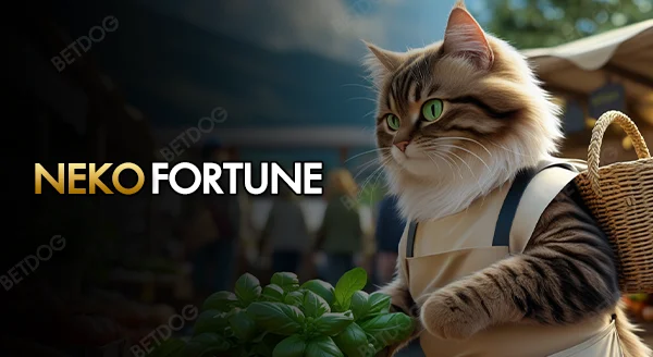 neko fortune jili